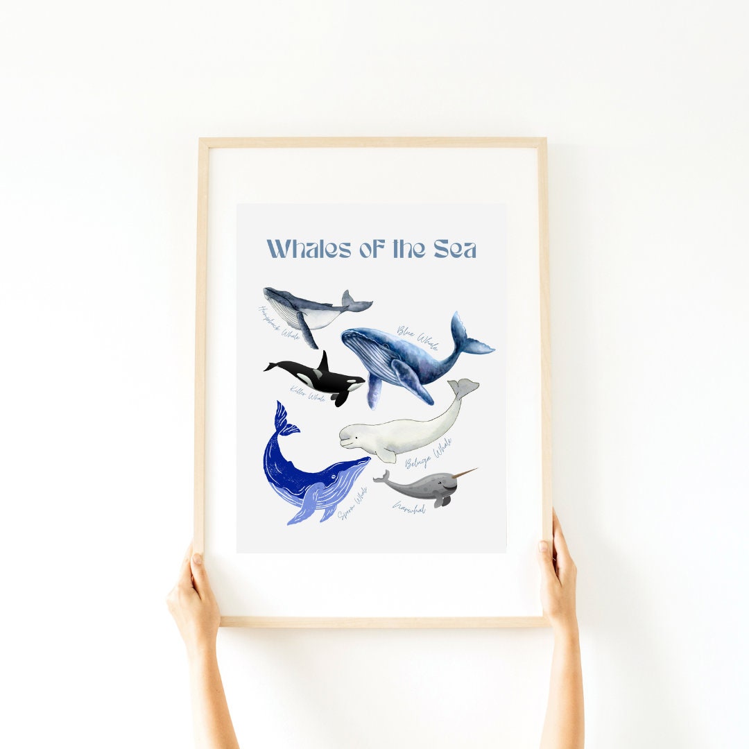 Ocean Nursery Wall Art | Whales of the Sea | Coastal Prints | Kids Nursery Art | Gender Neutral | Instant Download