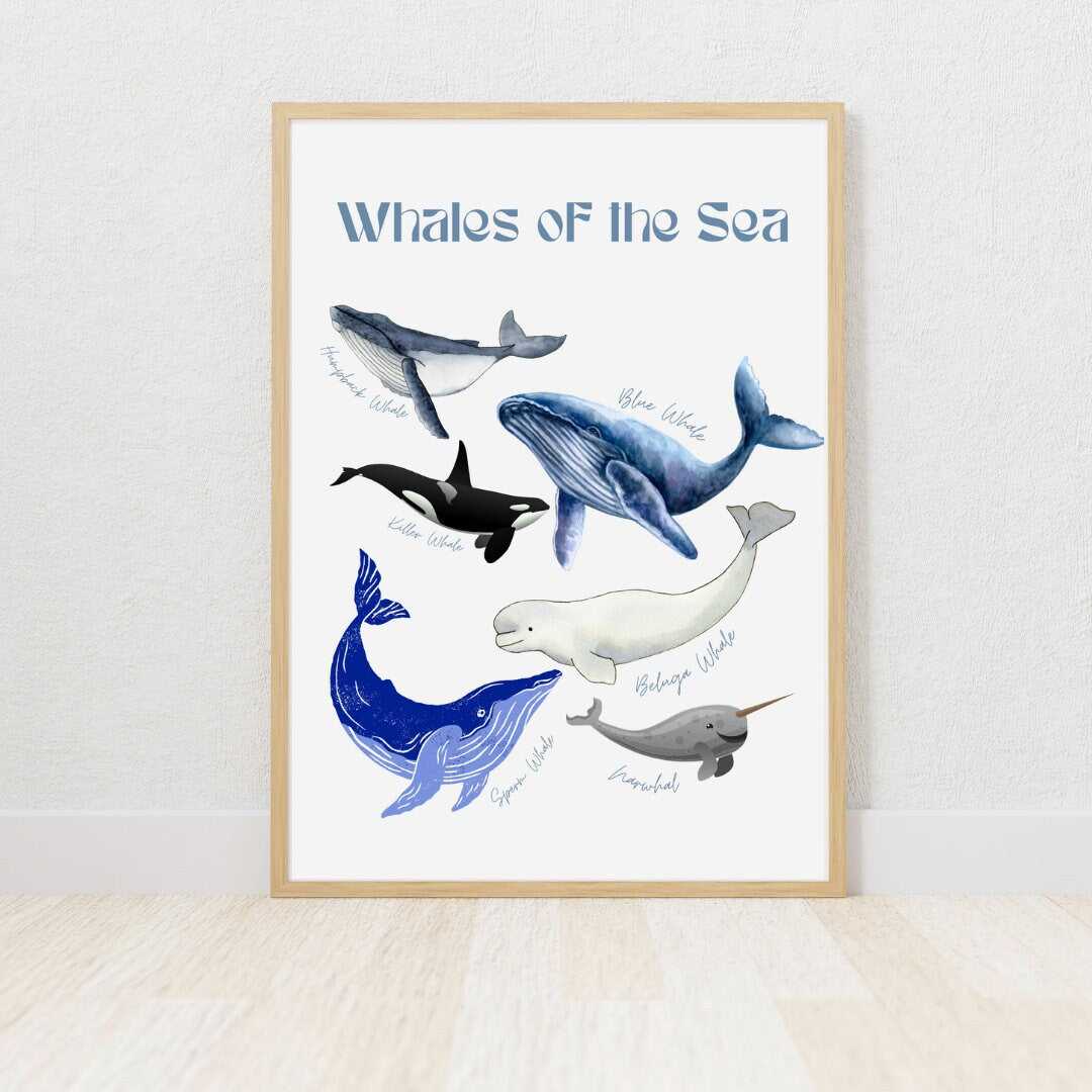 Ocean Nursery Wall Art | Whales of the Sea | Coastal Prints | Kids Nursery Art | Gender Neutral | Instant Download
