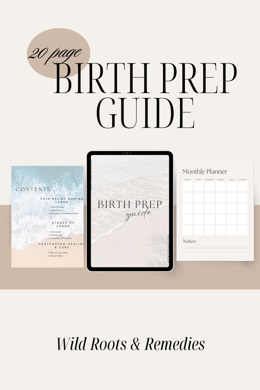 Birth Prep Guide: Holistic Pregnancy & Postpartum Care (PDF)