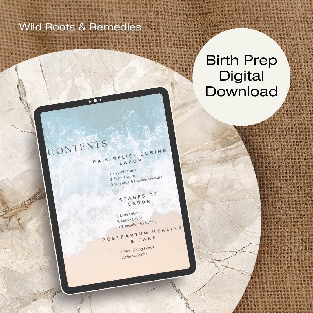 Birth Prep Guidebook: Mindful Pregnancy & Postpartum (Digital Download)