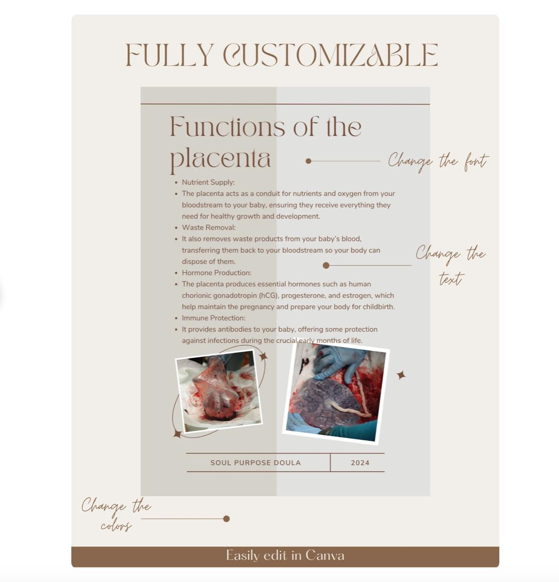 Placenta Encapsulation Contract & Handout Template, Editable Doula Forms, for Doulas, midwives, and placenta specialists
